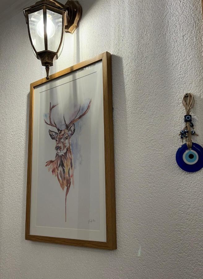 Guest House Tanevi Девин Екстериор снимка
